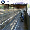 poultry farm automatic chicken layer egg chicken cage/poultry farm house design